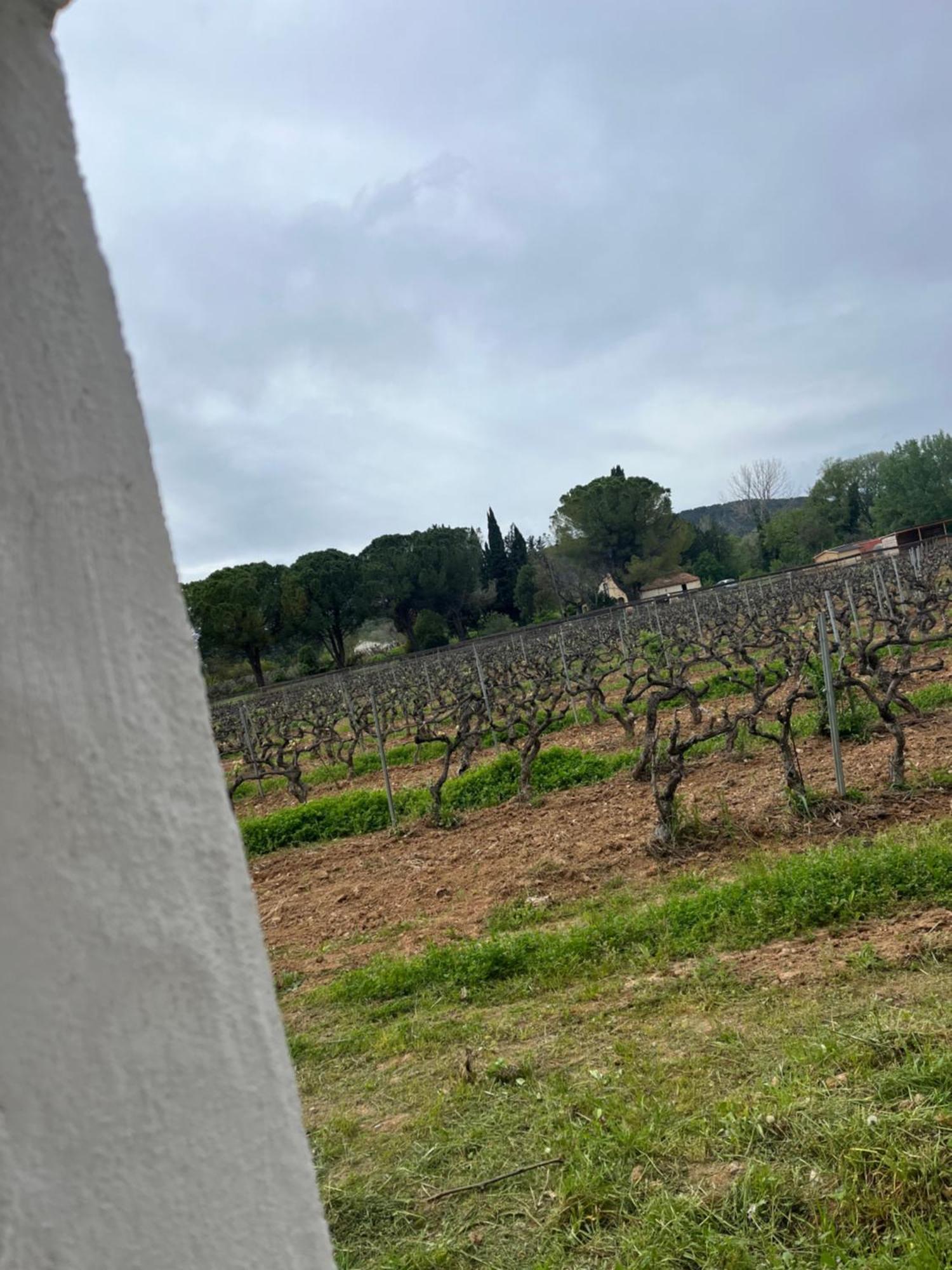 Appartement Avec Piscine Au Milieu Des Vignes Les Arcs-sur-Argens Esterno foto